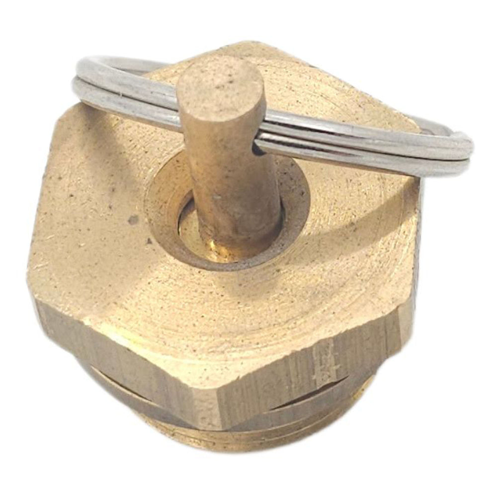 Air Tank Drain Valve