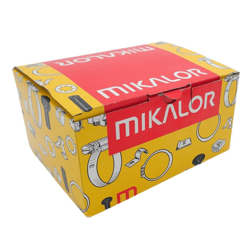 DIN 3021 Heavy-Duty Spring-Band Clip (W1)