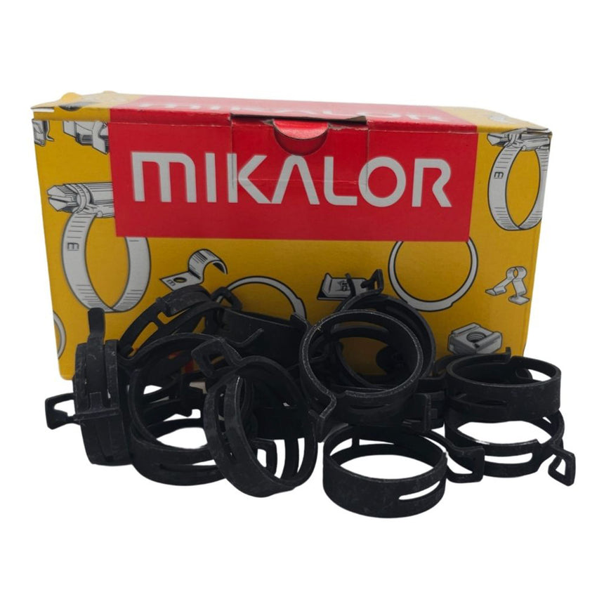 DIN 3021 Heavy-Duty Spring-Band Clip (W1)