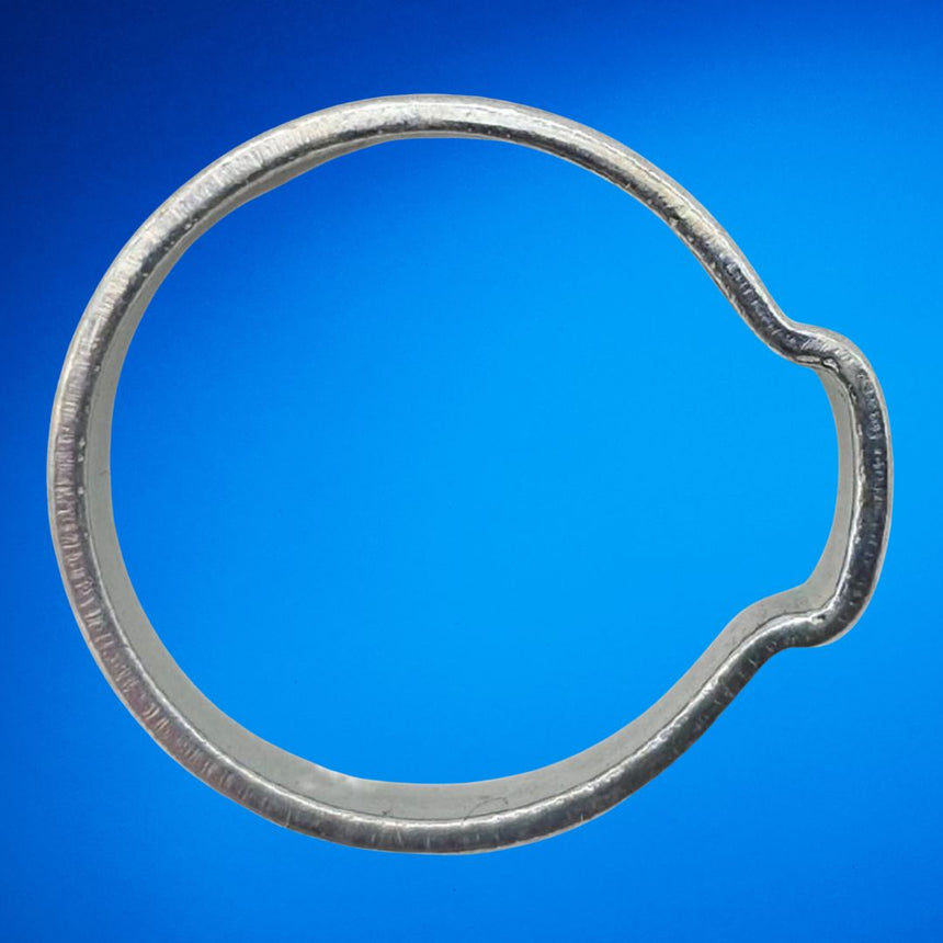 One Ear Clip (W1)