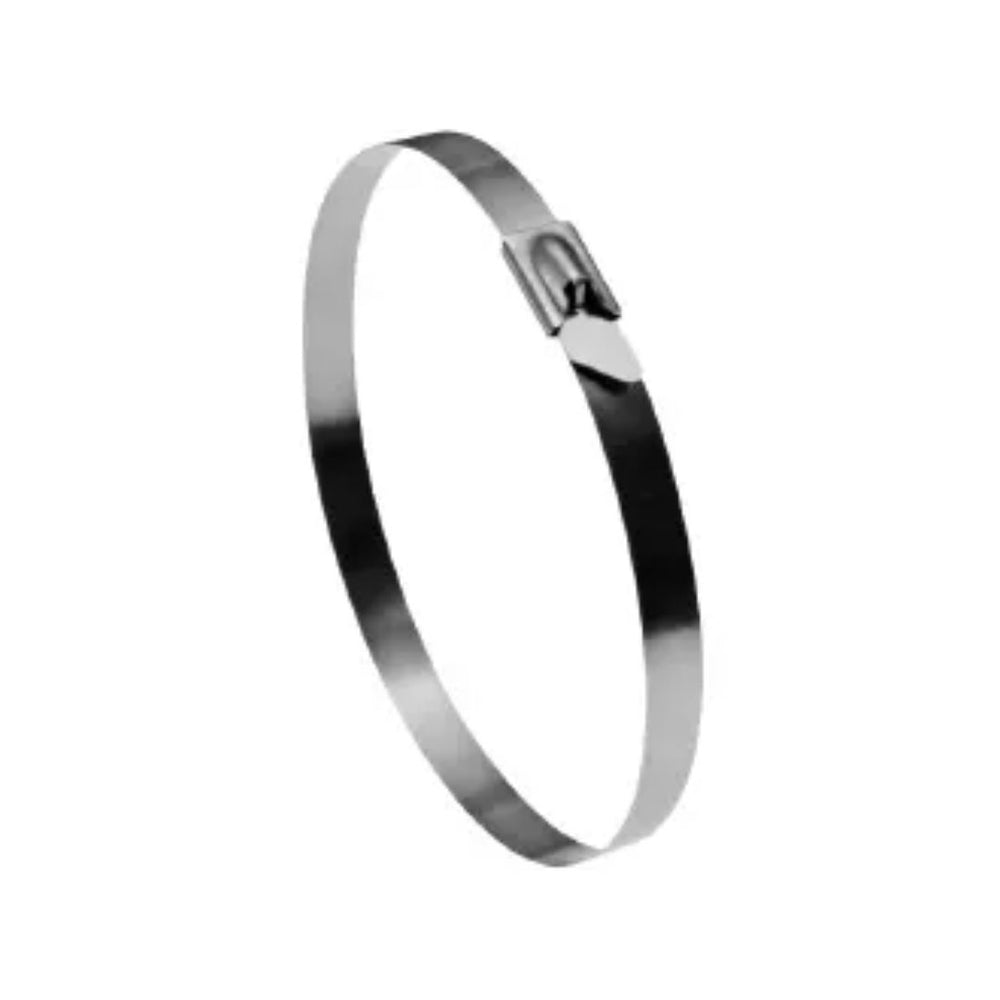 Stainless Steel Cable Tie (W4)
