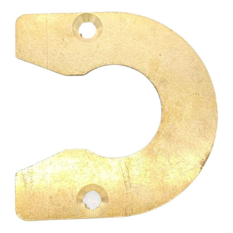 Manlid Wear Plate (Brass)